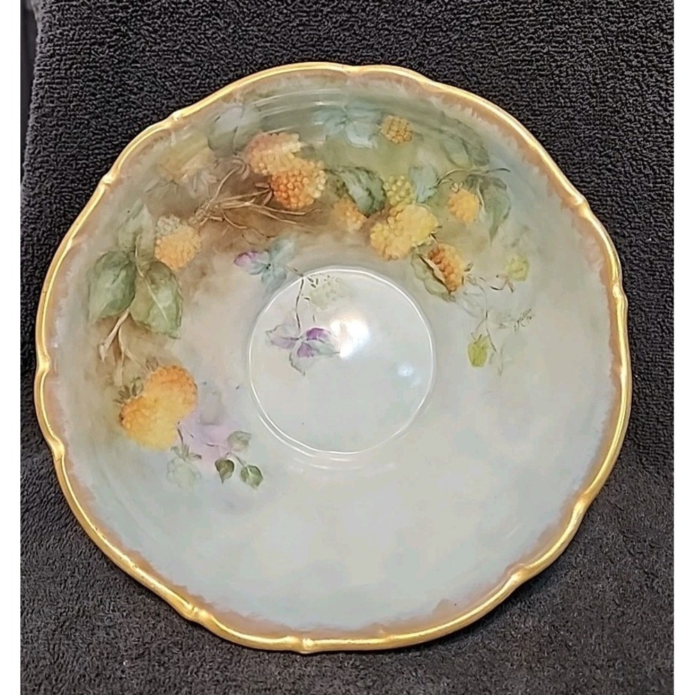 Antique Bareuther Waldsassen Bavaria Hand-painted Porcelain Bowl 9 3/4" Diameter